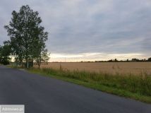 Działka inwestycyjna Wełnica. Zdjęcie 3