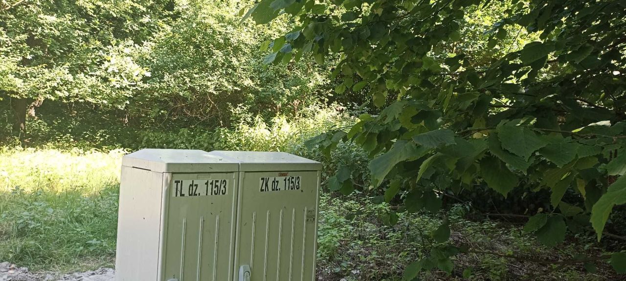 Działka siedliskowa Borkowice. Zdjęcie 3