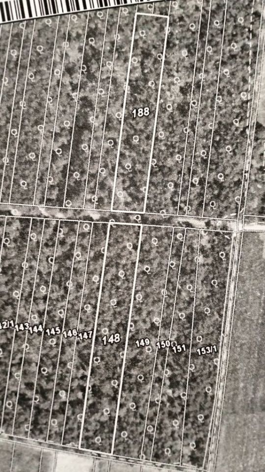 Działka leśna Karczów. Zdjęcie 4