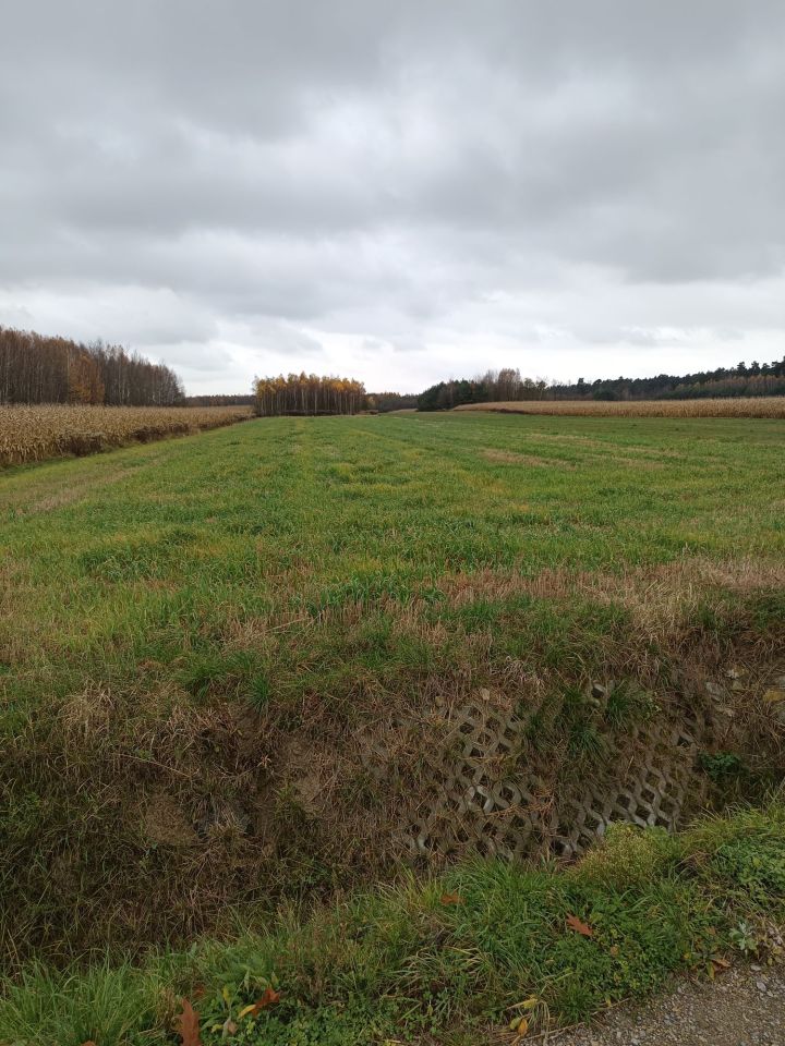 Działka rolna Antoniki. Zdjęcie 4