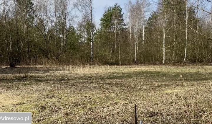 Działka budowlana Wola Pieczyska