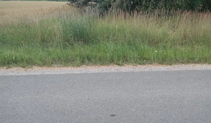 Działka rolna Grodzisko