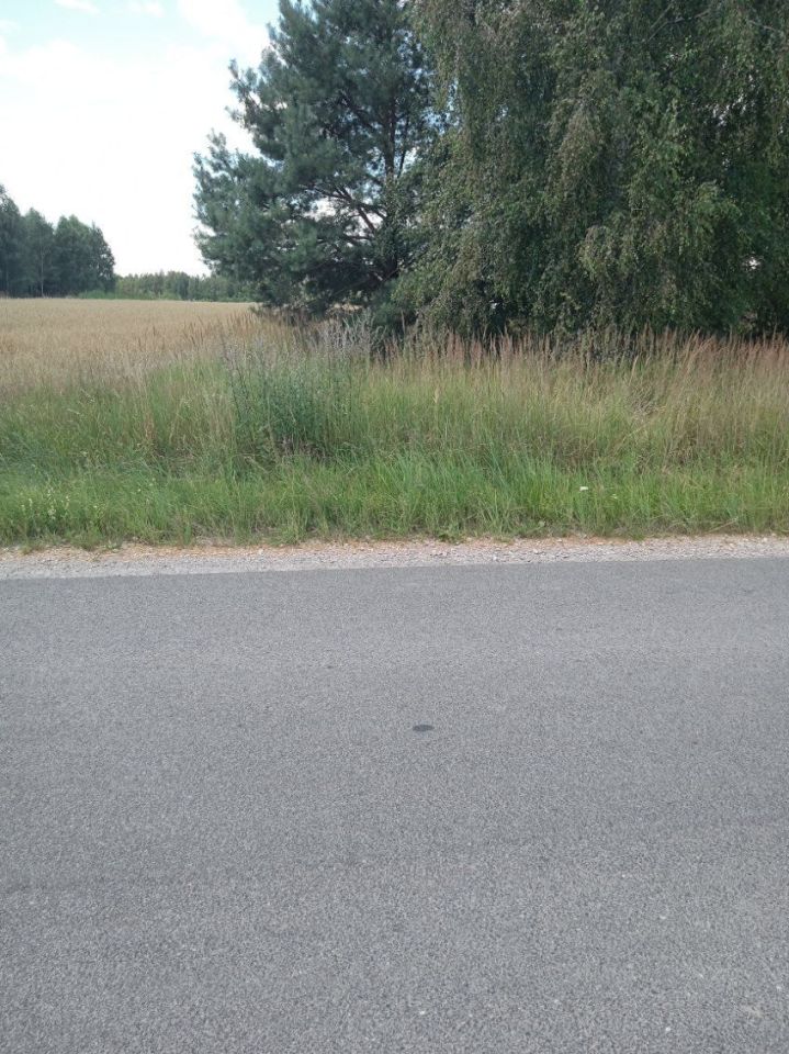 Działka rolna Grodzisko. Zdjęcie 1