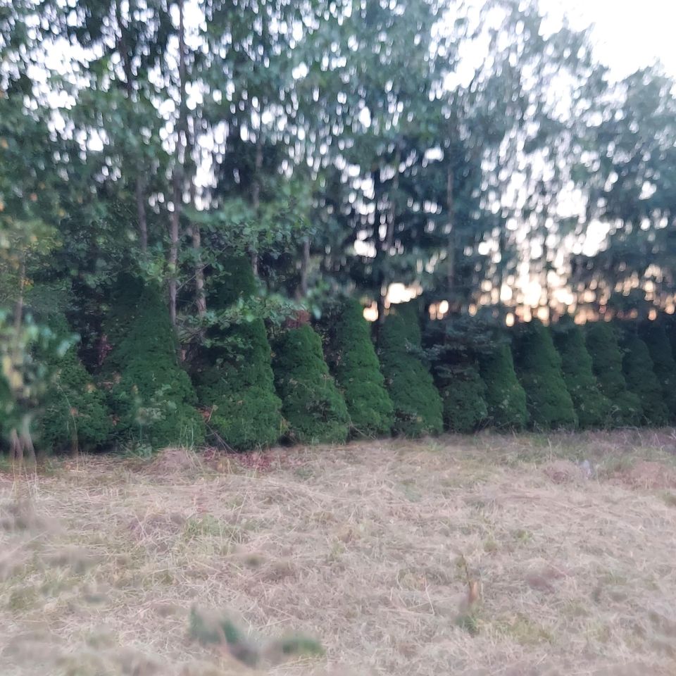 Działka rekreacyjna Oszkinie. Zdjęcie 12