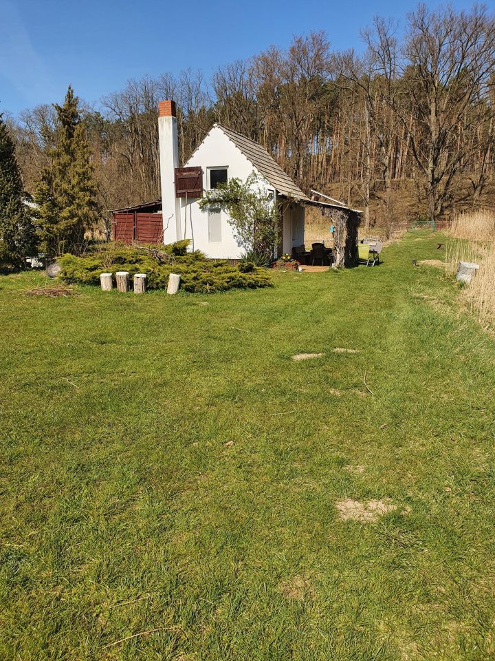 Działka rolna Bledzew Tymiana, ul. Tymiany. Zdjęcie 20