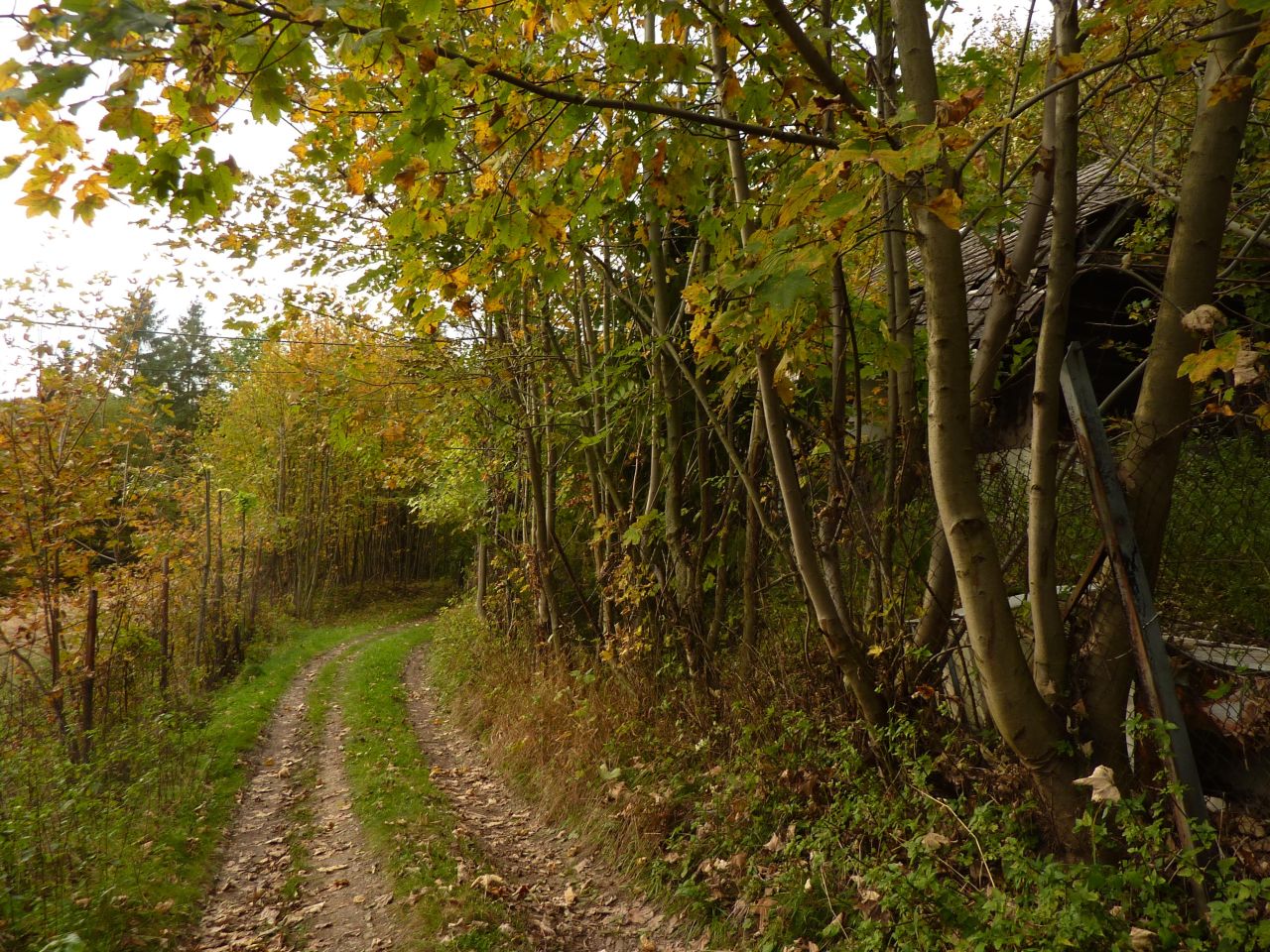 Działka rolna Pewel Wielka Garleje. Zdjęcie 27