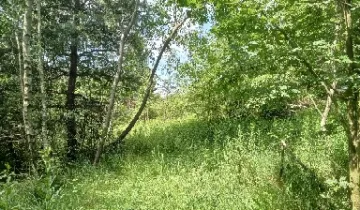 Działka na sprzedaż bez pośredników          
          
            Witowice Dolne - Widok 4