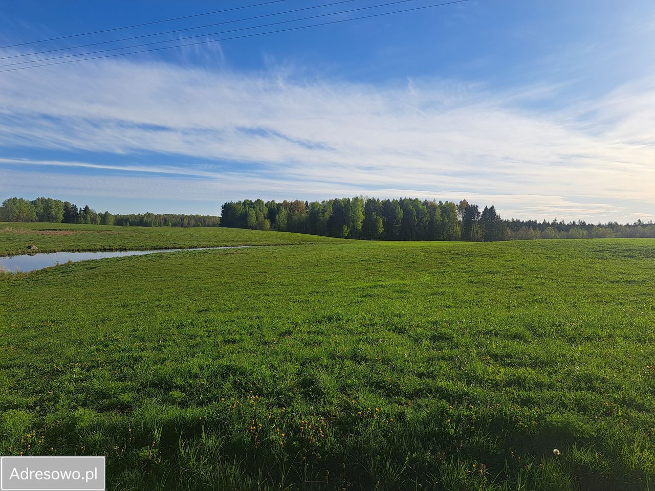 Działka rolna Kolonia Przerośl. Zdjęcie 2