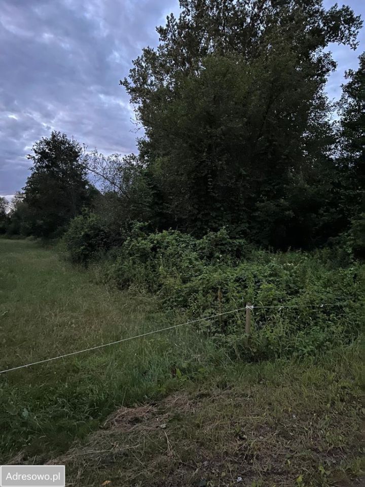 Działka rekreacyjna Morzyczyn-Włóki. Zdjęcie 3