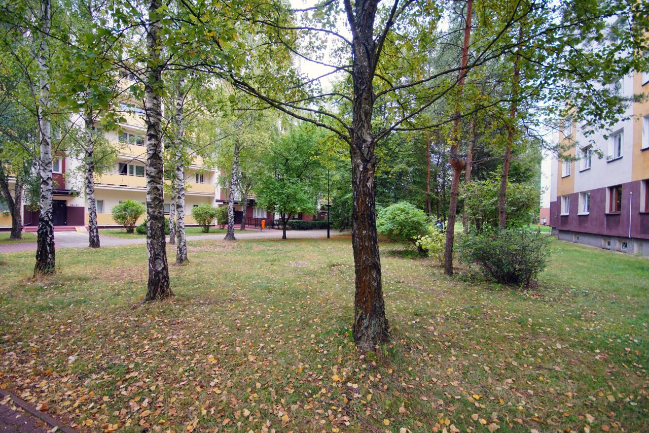 Mieszkanie 3-pokojowe Chełm Bazylany, ul. Stanisława Małachowskiego. Zdjęcie 10