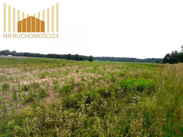 Działka rolna Cegłów. Zdjęcie 7