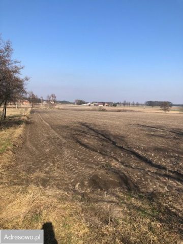 Działka rolna Piegonisko-Wieś. Zdjęcie 1