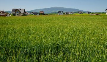 Działka budowlana Lipnica Wielka Lichosytowa