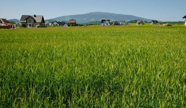 Działka budowlana Lipnica Wielka Lichosytowa