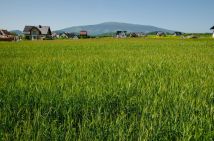 Działka budowlana Lipnica Wielka Lichosytowa