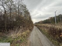 Działka budowlana Jasień, ul. Jagodowa. Zdjęcie 2