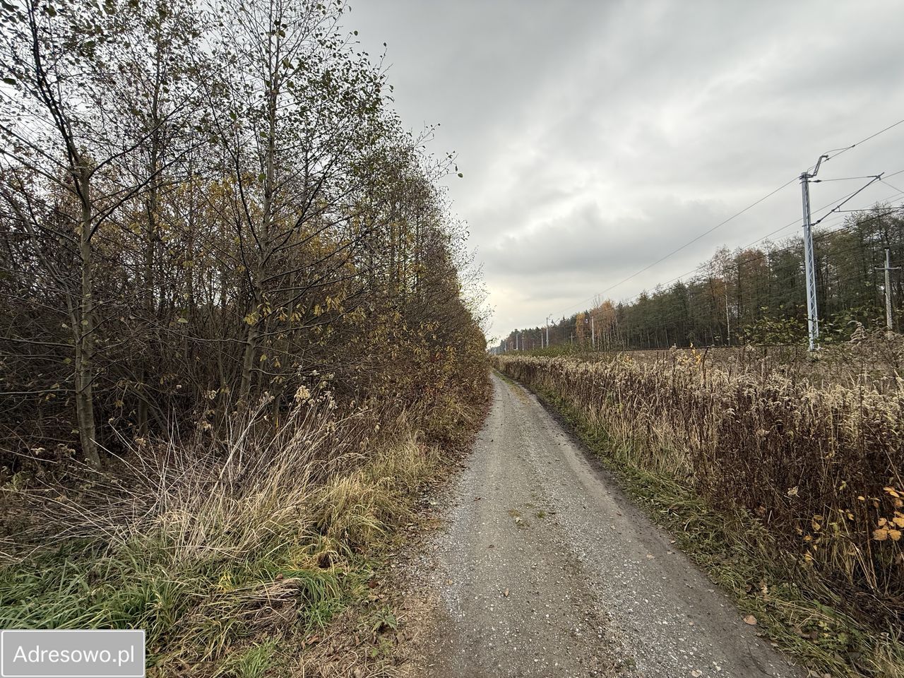 Działka budowlana Jasień, ul. Jagodowa. Zdjęcie 3