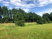 Działka budowlana Zalesie. Zdjęcie 4