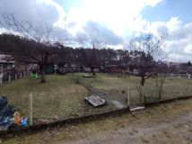 Działka rod Zielona Góra Centrum. Zdjęcie 1