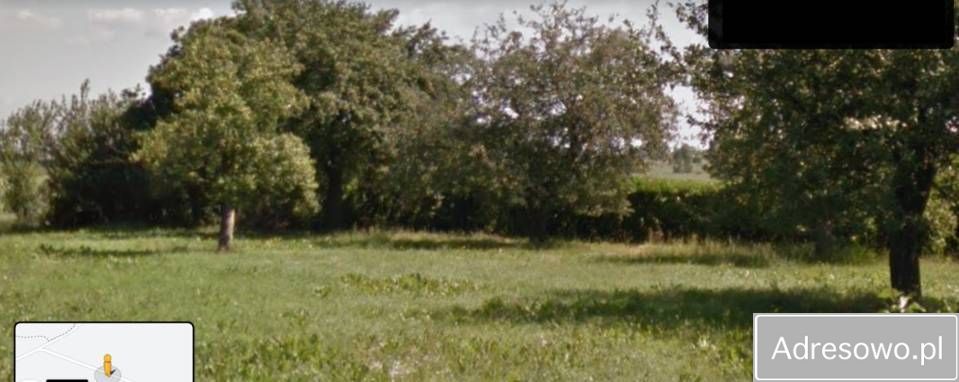 dom wolnostojący, 6 pokoi Niecki. Zdjęcie 2