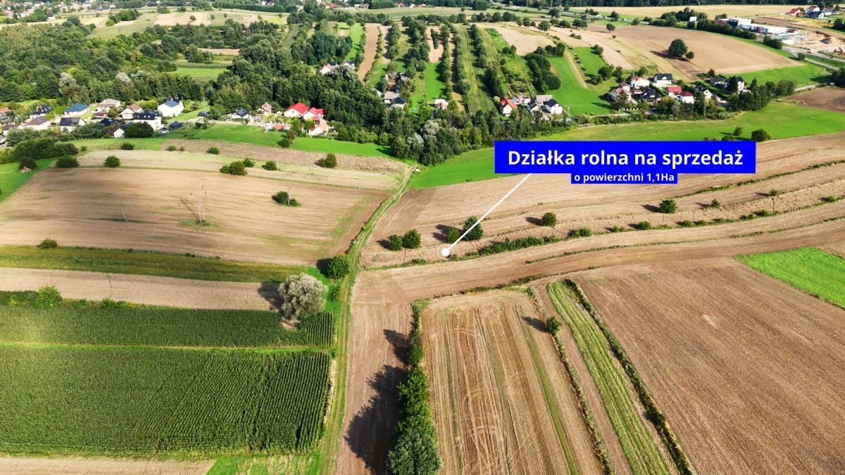 Działka rolna Bodzanów. Zdjęcie 4