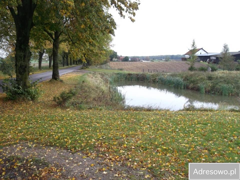 Działka rolna Niedziały. Zdjęcie 6