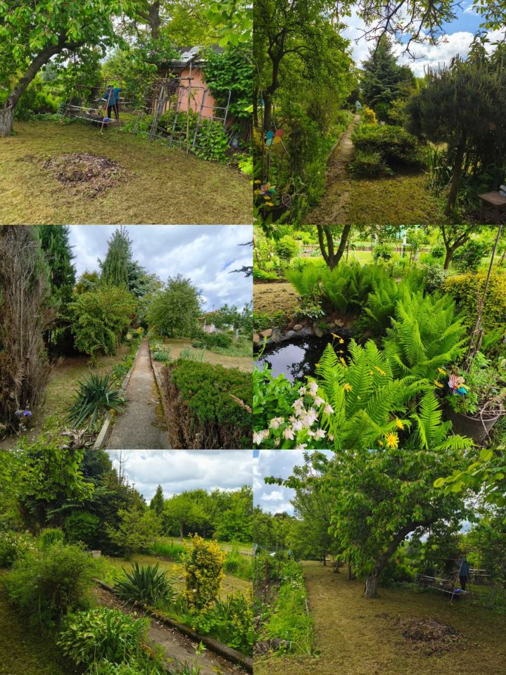 Działka rod Głuchołazy. Zdjęcie 3