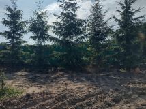 Działka budowlana Zasonie. Zdjęcie 4