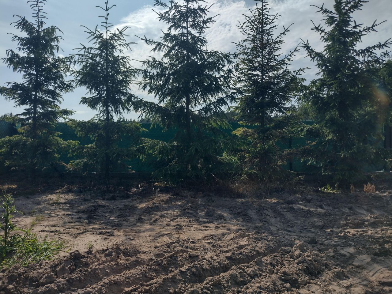 Działka budowlana Zasonie. Zdjęcie 5