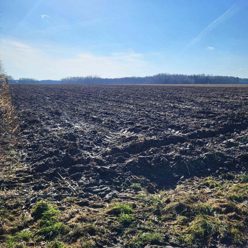 Działka rolna Kosów Lacki, ul. Młynarska. Zdjęcie 5