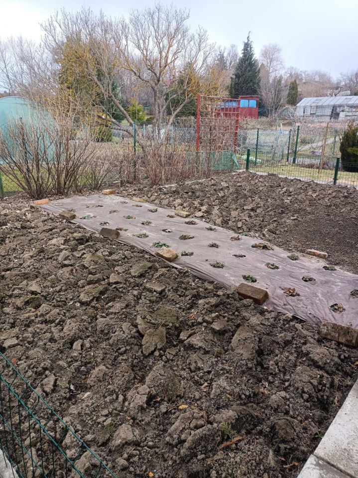 Działka rod Tczew Czyżykowo. Zdjęcie 3