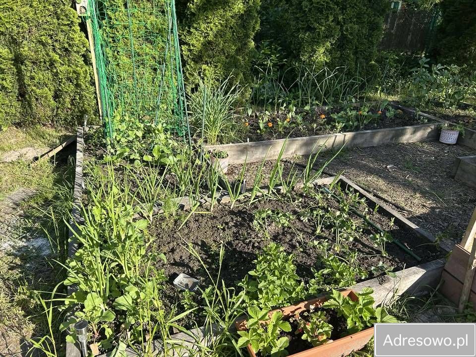 dom letniskowy Kajetany. Zdjęcie 4