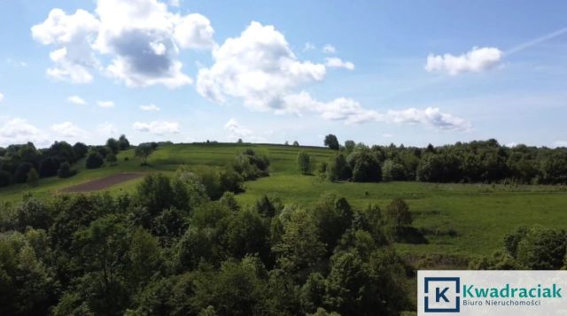 Działka rolna Golcowa. Zdjęcie 6