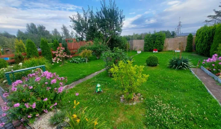 Działka rod Gdańsk Rębiechowo, ul. Nowatorów