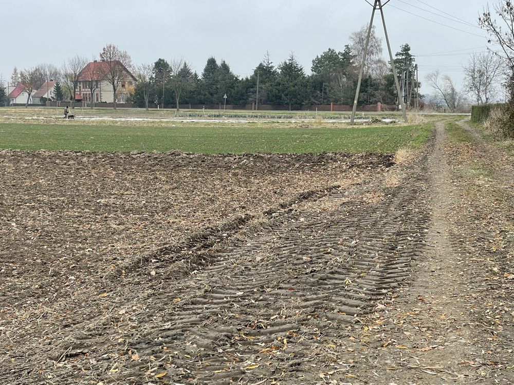 Działka budowlana Budziszów Wielki. Zdjęcie 3