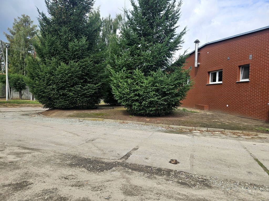 Hala/magazyn Prusice. Zdjęcie 15