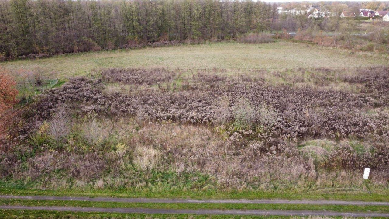 Działka inwestycyjna Paproć. Zdjęcie 3