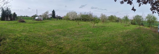 Działka rolno-budowlana Baniewice. Zdjęcie 1