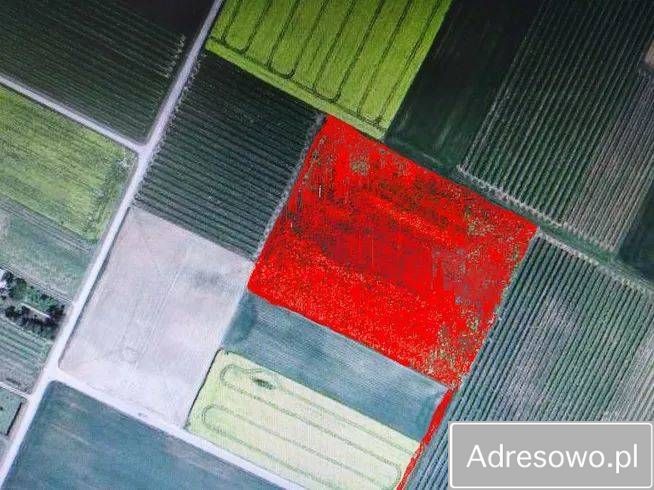 Działka rolna Ożarów. Zdjęcie 1