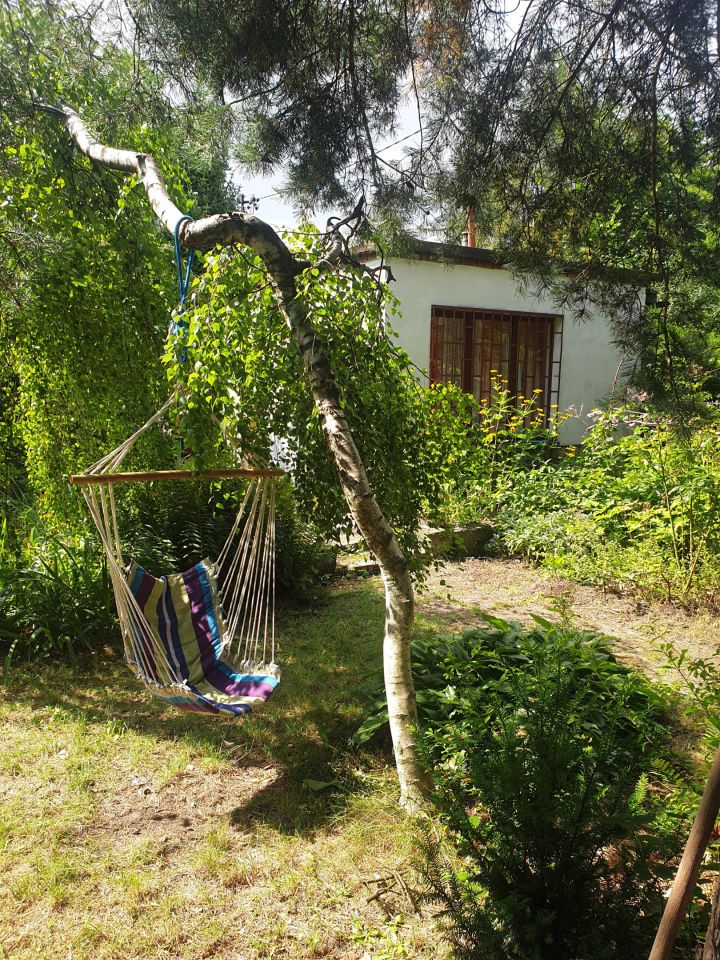 Działka rekreacyjna Katowice Śródmieście, ul. Tadeusza Kościuszki