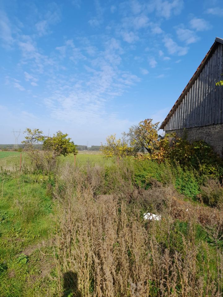 Działka rolna Ściechów. Zdjęcie 8
