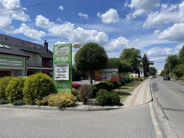 Lokal Grodzisko Dolne Mokrzanka. Zdjęcie 8