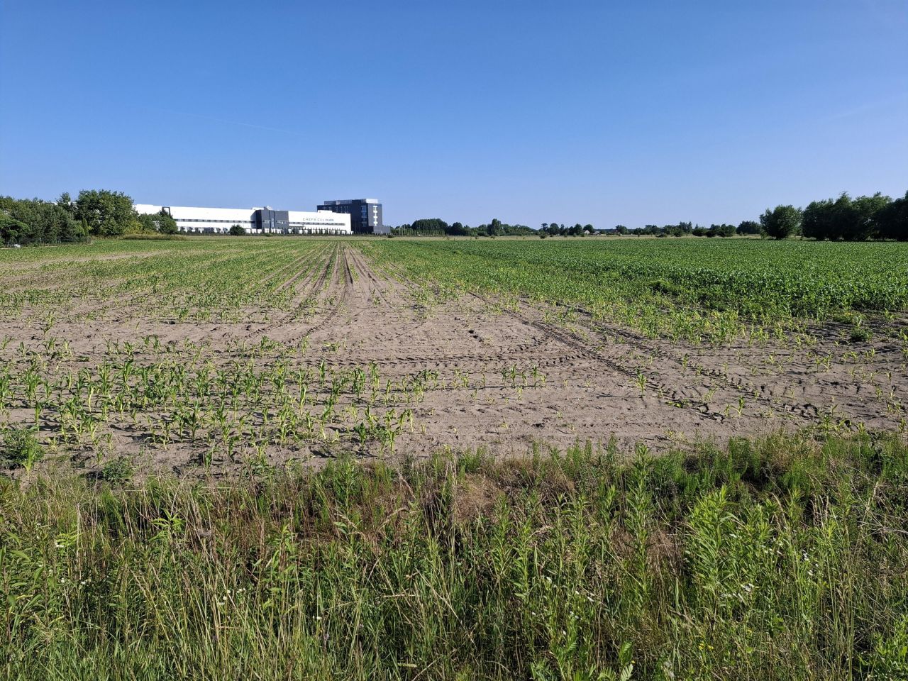 Działka inwestycyjna Nowy Drzewicz. Zdjęcie 6