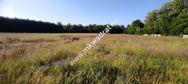 Działka budowlana Chrzczany. Zdjęcie 6