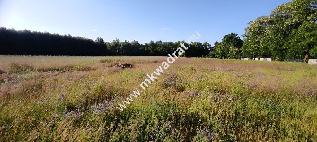 Działka budowlana Chrzczany. Zdjęcie 6