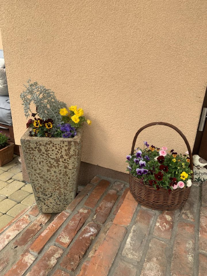 dom wolnostojący, 4 pokoje Huta Żabiowolska, Główna. Zdjęcie 6