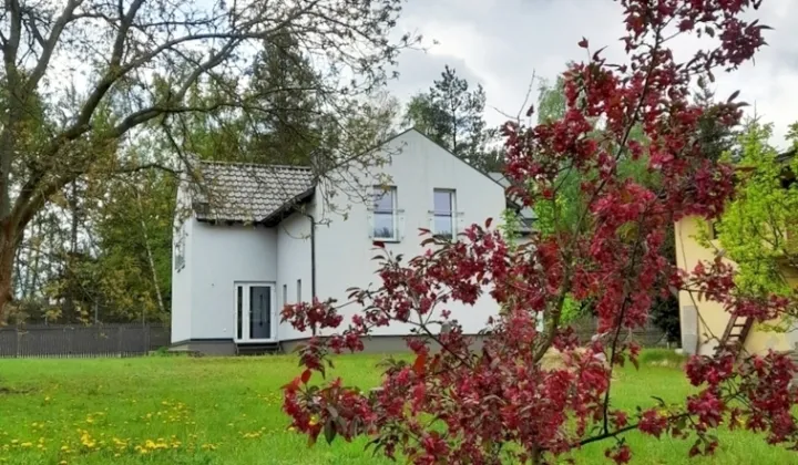 dom wolnostojący, 5 pokoi Poznań Zieliniec