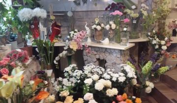 Lokal Piotrków Trybunalski, ul. Różana