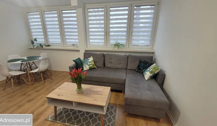 Mieszkanie 2-pokojowe Wrocław Szczepin, ul. Zachodnia