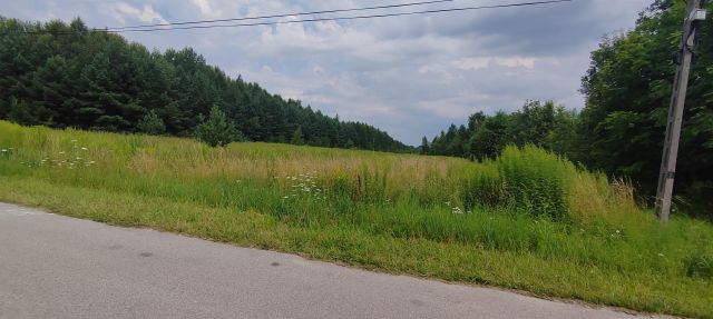 Działka rolno-budowlana Borszowice. Zdjęcie 1